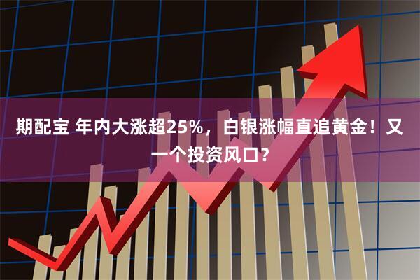 期配宝 年内大涨超25%，白银涨幅直追黄金！又一个投资风口？